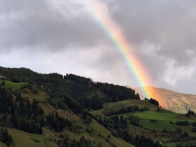 Bild 17 aus  Voithof