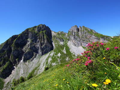 Bild 73 aus  Taxengut