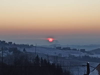 Bild 10 aus  Weingut Stoff