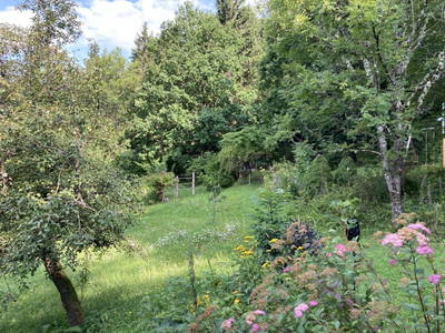 Bild 108 aus  Kräutlhütte Auer