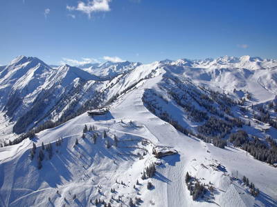 Bild 92 aus  Schaidreithof