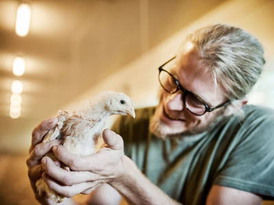 Bild 27 aus  Ferienwohnung Biohof Brandner