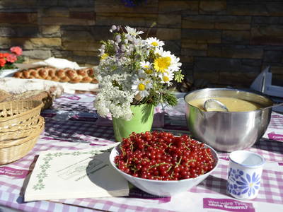 Bild 45 aus  Biobauernhof Gehrnerhof Warth am Arlberg