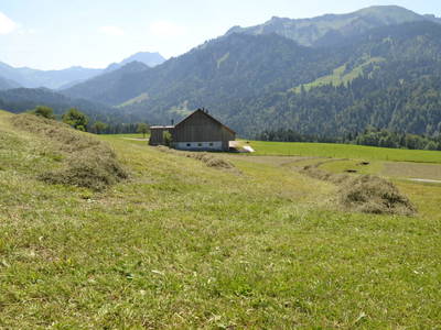 Bild 79 aus  Dorner Hof