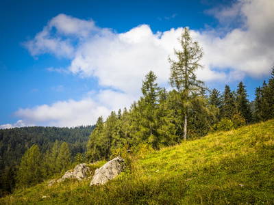 Bild 65 aus  Pfannreithof