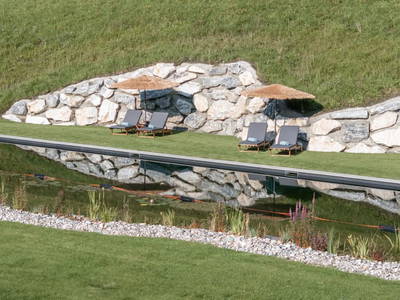 Bild 43 aus  Das Grabnergut