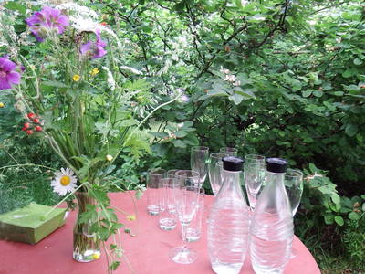 Bild 9 aus  Ferienhof Rauchhaus