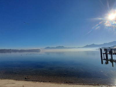 Bild 29 aus  Niederauer Hof