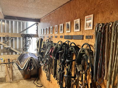 Bild 58 aus  Ferienhof Sell Bauernhofurlaub Ostsee Ponys