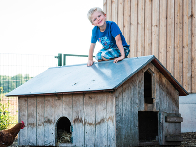 Bild 24 aus  Bauernhof Härtel