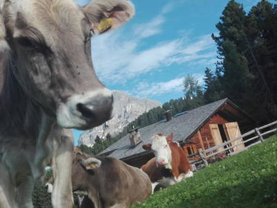 Bild 10 aus  Oberpiskoihof, Auszeit in den Südtiroler Dolomiten
