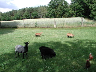 Bild 24 aus  Hof Höpen