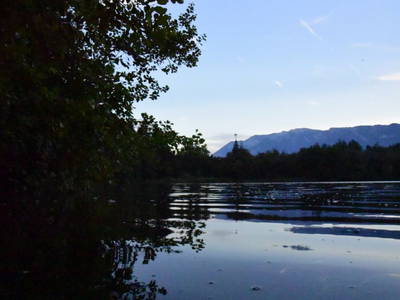 Bild 8 aus  Natürliches Ferienwohnen