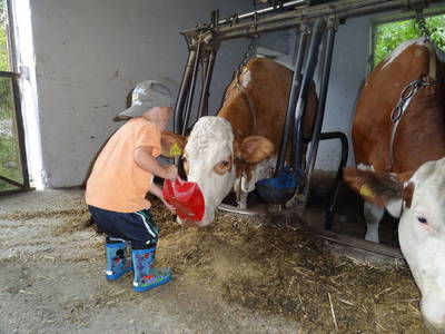 Bild 9 aus  Schwarz-Hof