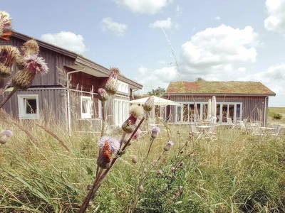 Bild 6 aus  STRANDDORF AUGUSTENHOF  - Ferienhäuser direkt an der Ostsee
