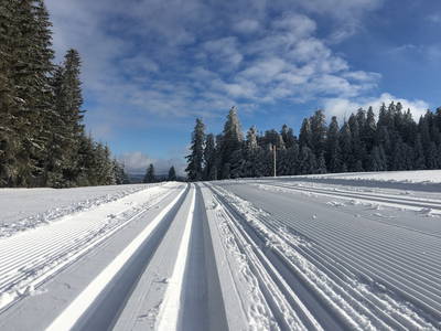 Loipe auf dem Thurner Loipenzentrum