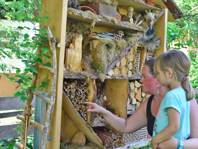 Bild 6 aus  Ramsteinerhof