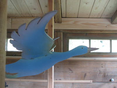 Bild 13 aus  Gut Waldhof