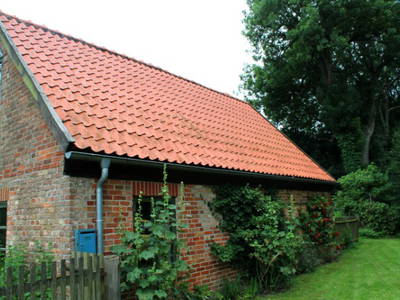 Bild 8 aus  Backhaus Swantow