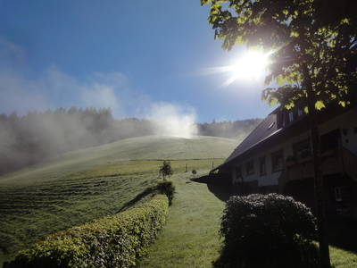 Bild 15 aus  Fussbauernhof