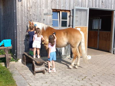 Bild 4 aus  Fuchsbauernhof