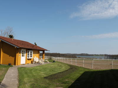 Bild 60 aus  Gestüt Hof am See