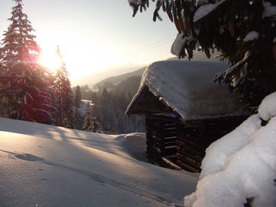 Bild 37 aus  Landhaus Alt mit  Bauernhof* Gesundes Wohnen In Freier Natur* Tolle-Angebote *Bergbahn Unlimited*