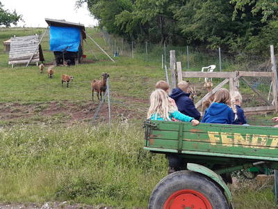 Bild 19 aus  Steigerwälder Zwergenhof ihr kleiner Kinder-Bauernhof für Familien- und Gruppenurlaube