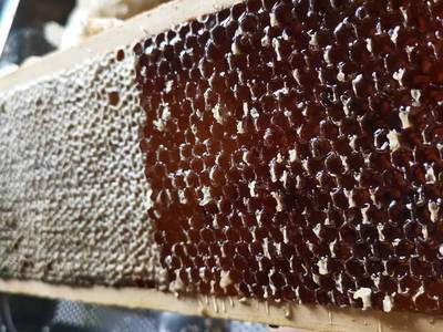 Bild 51 aus  Le Colombié - Ferienhäuser an der Dordogne mieten