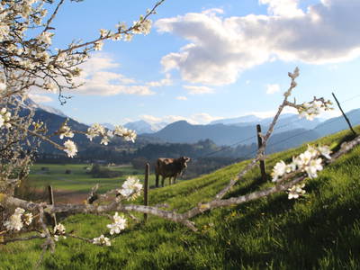 Bild 20 aus  Landhaus Schraudolf, Inh. Christine Vogler