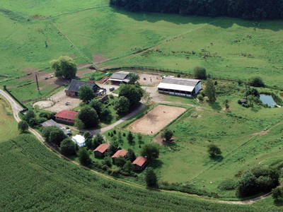 Bild 6 aus  Gut Friedenthal