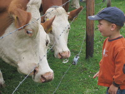 Bild 9 aus  Enkenshof