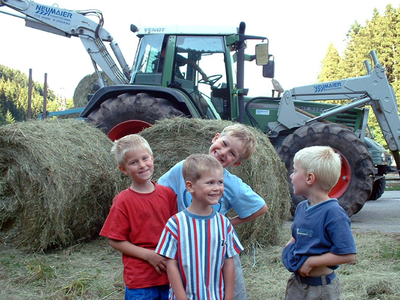 Bild 7 aus  Hanselehof