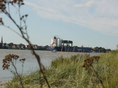 Bild 21 aus  Ferienwohnungen Harriersand direkt an der Weser