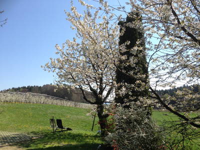 Bild 13 aus  Ferienhof Egger