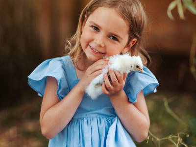 Bild 11 aus  Wendelinshof