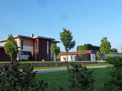 Bild 3 aus  Ferienweingut Willems, Maria Willems