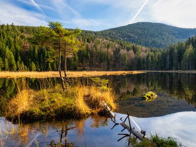 Bild 36 aus  Arber Lofts