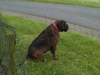 Bild 41 aus  Katrin's Ferienhof