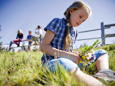 Bild 9 aus  Appartements Bergdiamant