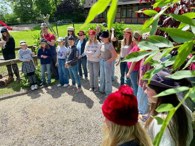 Bild 9 aus  Ferienhof Presener Deichkrone