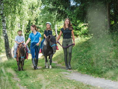 Bild 14 aus  "Forellen - Reiterhof" 5 Sterne Hof direkt am See
