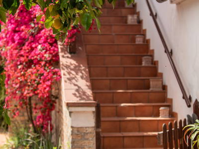 Bild 6 aus  Ferienwohnungen auf kleinem Reiterhof mit Pool