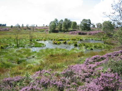 Bild 26 aus  Victorhof Ferienwohnungen