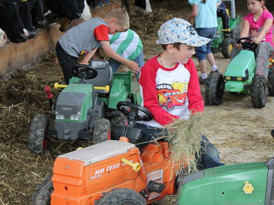 Bild 6 aus  Bernis Ferienhaus