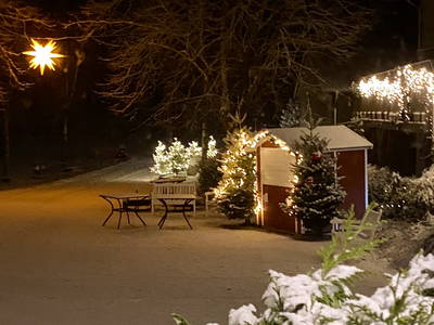 Bild 88 aus  Ferienhof Messer  Bauernhofurlaub  Ostseenähe  Ponys