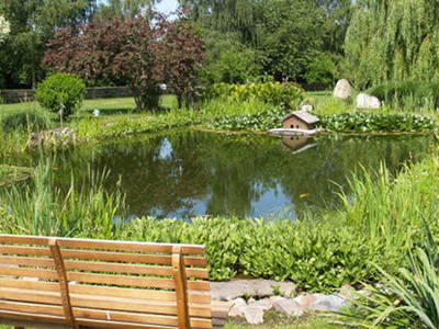 Bild 14 aus  Landhof Kützin