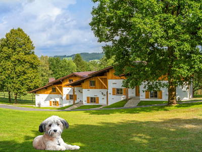 Gutshotel Feuerschwendt - ideal für Urlaub mit Hund