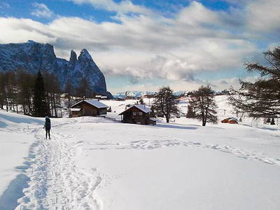 Bild 24 aus  Platzerhof