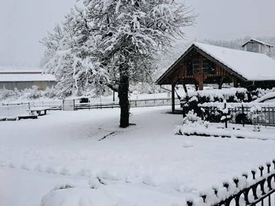 Bild 33 aus  Ferienhof Bentele